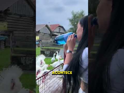 Essa garota consegue falar com os animais