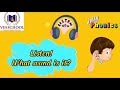 Understanding the Video Tutorial