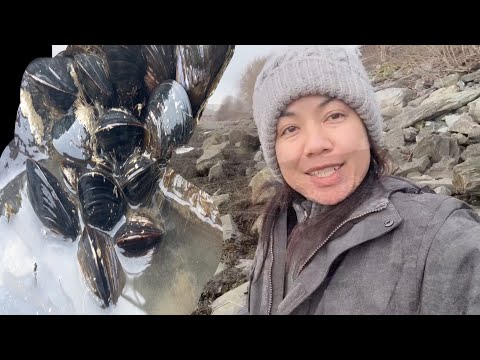 ลงทะเลเก็บหอยแมลงภู่หอยจูบทะเลกันจ้า10.03.25 Chutikan Channel ลงทะเลเก็บหอยแมลงภู่หอยจูบทะเลกันจ้า10.03.25