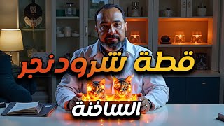 لأول مرة في عالم الكم العثور على قطة شرودنغر الكمية على قيد الحياة في درجة حرارة ساخنة.