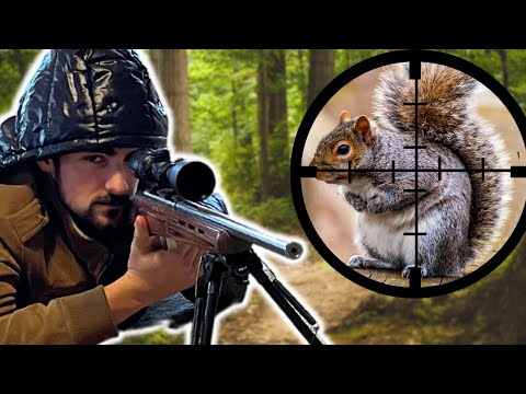 SNIPING SQUIRRELS  w/17HMR (SCOPECAM)