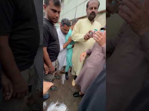 Live white pomfret fish auction in Karachi fish harbour #fishmarket