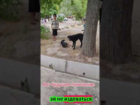 вот будущее поколение