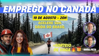 SAIA DO BRASIL GANHANDO EM DÓLARES (Sorteio ao vivo)