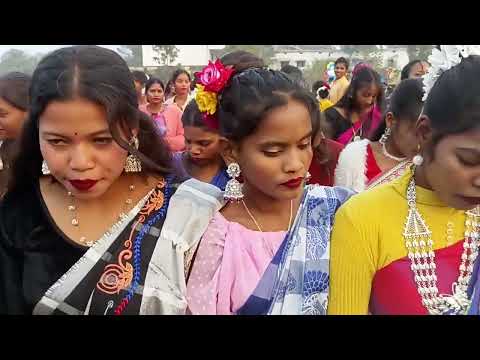 GODDA COLLEGE GODDA SOHRAI VIDEO/BINOD HANSDAK/🔥🔥🔥🔥🔥🔥🔥new sohrai video 2025@kutampurigar