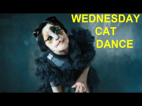 Wednesday dance but is a cat / El baile de Merlina pero es un gato