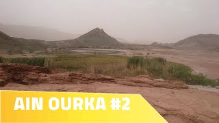 Ain Ouerka western sahara [ALGERIA]