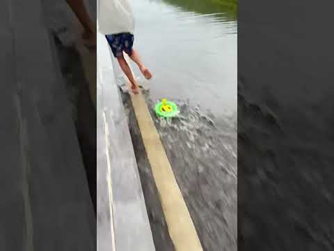 Thả diều tuột tay và cái kết. #layangan #patang #kiteflying #layangantanggalan #kite #indonesia