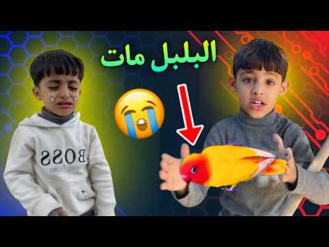 بلبل رقية مات شوفو الصدمة #لايكك #واشتراكك #يخلينه #نستمر