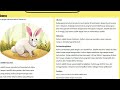 Understanding the Video Tutorial