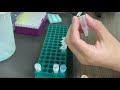 DNA Electrophoresis Techniques and Concepts