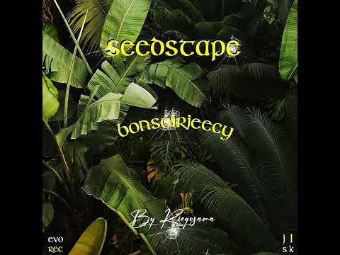 BonsoirJeecy - Seedstape (Ep)