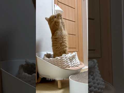 기도합시다🙏🏻