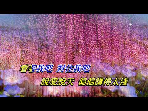 側面   張國榮〈Live 演唱版〉