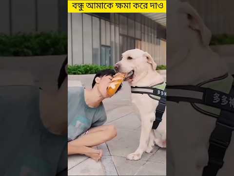 বন্ধু আমাকে ক্ষমা করে দাও তোমার জন্য তেমন কিছু করতে পারলাম না #shorts #dog  #trendingvideo