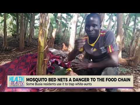 Mosquito bed nets a danger to the food chain