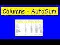 Using AutoSum in Excel