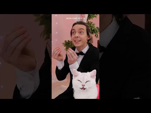 Ups! 😹😺 Kejadian Lucu dengan Gaun Pengantin 😂💔👰 Selamat Hari Valentine 💘 #kucing #cinta