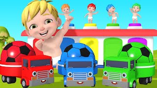 Wheels On The Bus Baby Shark + Bingo Song and More Kids Song And Nursery Rhymes