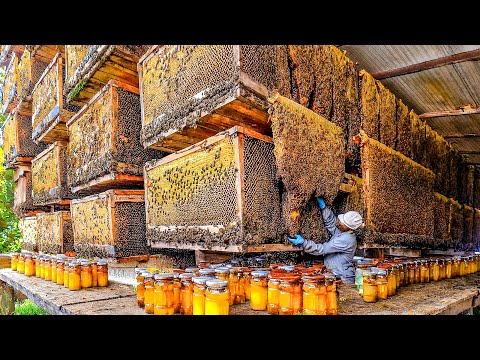 How Biggets Bee Farms Raise Billions Bees And Process Millions Tons Of Honey - Honey In Factory