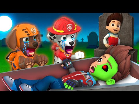 OMG Ryder Turns Into Zombie?! - Goodbye Ryder! - Funny Story | Paw Patrol 3D Animation | Rainbow 3