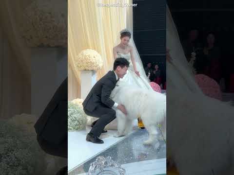 The happiest Chief Guest at the engagement! ๐ถ๐