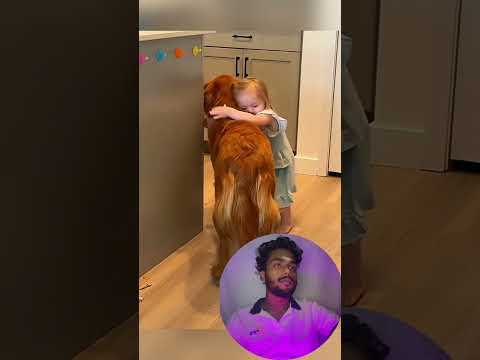 funny stories about babies and dogs ❤️❤️❤️ | Part 29 | #pet #cat #dog #cute #animals#foryou #typ