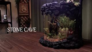 Betta Fish Cave outside Aquascape | Low-Tech Round Bowl Ecosystem No Filter, No CO2, No Fertilizer