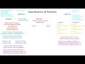Particle Classification and Interactions