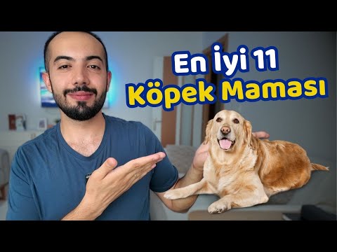 En İyi 11 Köpek Maması