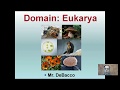 Biology: Fungi and Protists Concepts