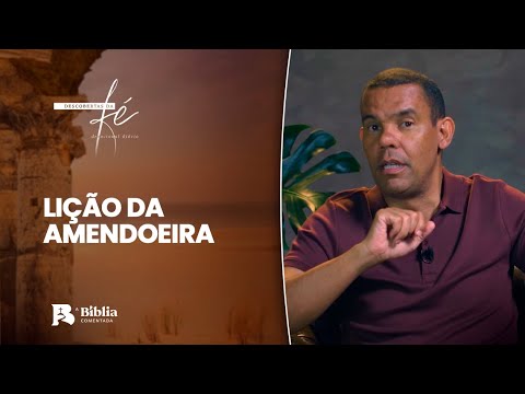 Lição da Amendoeira | Descobertas da Fé com Rodrigo Silva