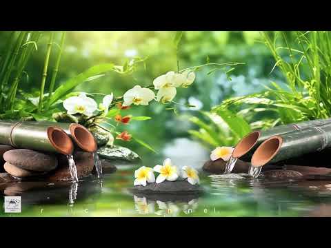 Soothing Relaxation Music, Relaxing Piano Music, Sleep Music, Water Sounds, Relax Music, Meditation