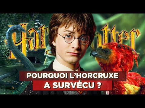 TOP 7 des QUESTIONS SANS REPONSE dans les FILMS HARRY POTTER #2