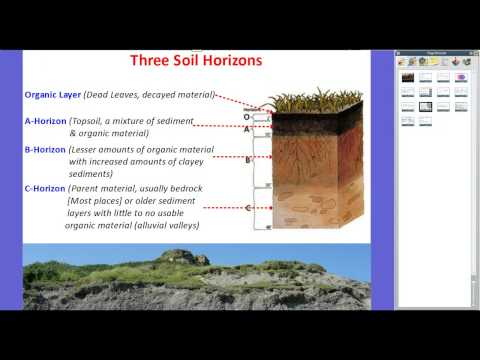 Soil