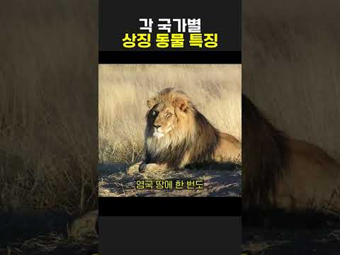 각 국가별 상징동물 특징