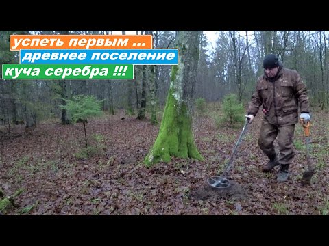 ДОБРАТЬСЯ ПЕРВЫМ и ВЫКОПАТЬ КУЧУ ИМПЕРСКОГО СЕРЕБРА! ПОИСК ЗЛАТА СЕРЕБРА С КОНСТАНТИНОМ