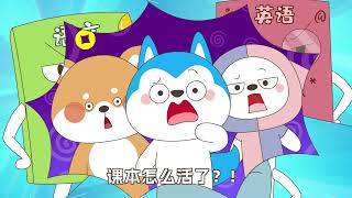 哈小浪上學記精彩大放送（6）#星座狗聯盟 #哈小浪
