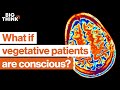 Understanding Consciousness in Vegetative State Patients