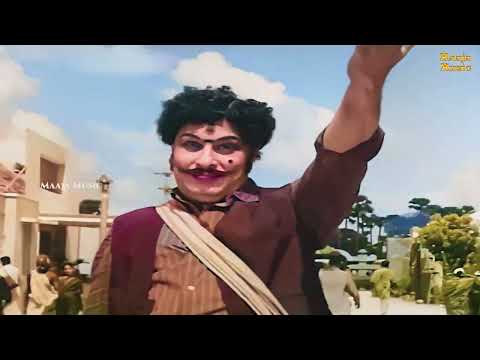 பல பல ரகமா | Pala Pala Rahama Color | Anandha Jodhi | T.M.Soundararajan | MGR Hit Song | Maaja Music