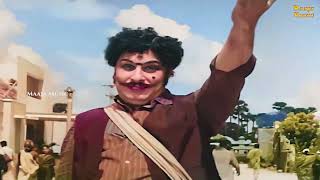 பல பல ரகமா | Pala Pala Rahama Color | Anandha Jodhi | T.M.Soundararajan | MGR Hit Song | Maaja Music
