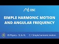 Simple Harmonic Motion Concepts