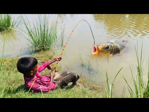 Amazing Big Fish Hook Fishing in River #fishing