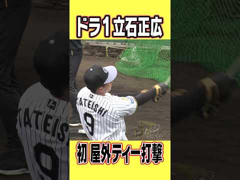 【豪快スイング】新人立石が今キャンプ初の屋外ティー打撃!#shorts #虎バンチャンネル #阪神タイガース#立石