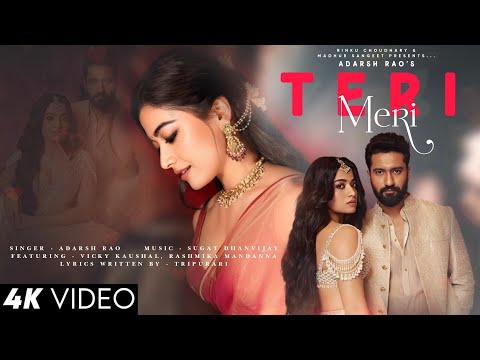 Teri Meri - Adarsh Rao | Vicky Kaushal, Rashmika Mandanna | Best Hindi Song