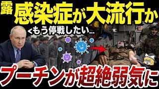 【ゆっくり解説】ロシア軍における病気の大流行と停戦交渉の条件削減