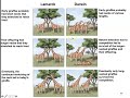 Darwin's Evolutionary Theories and Influences