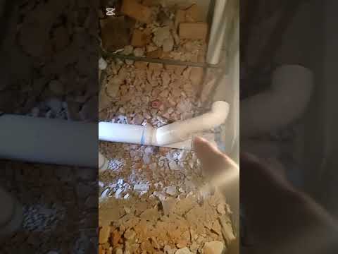 Instalación hidráulica tuboplus y sanitaria PVC aguas negras y grises.