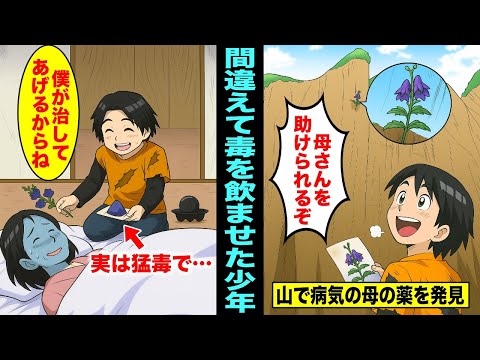 【今日アン再放送】病気の母の為に山奥に生えている薬草を取りに行った少年…薬草を手に入れたが間違えて猛毒の毒草を持って帰ってきていて知らずに母に飲ませてしまい・・・