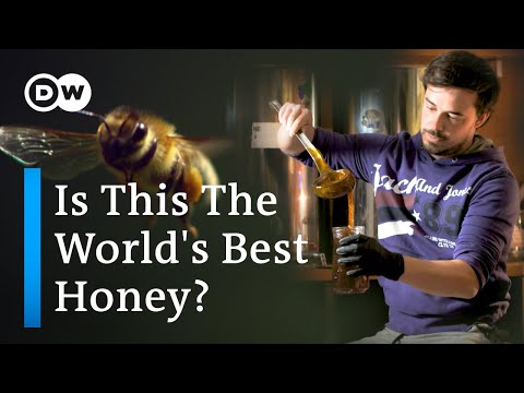 YouTube video thumbnail: How Slovenia Produces Some Of The World's Best Honey